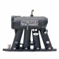Preview: Skunk2 Pro Series B18c4 Ansaugbrücke Honda B-Series