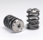 Preview: Skunk2 Honda B-Series Ventilfedern und Titan Halter Alpha Series