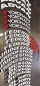 Preview: Tire Sticker Federal 595