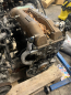Preview: Nissan SR20DET Engine Gold Valve Cover Do-Luck S14 S15 Silvia JDM