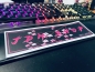 Preview: Sakura JDM Shop Sticker Mattes Finish Schwarz
