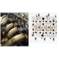 Preview: Titanium Exhaust Manifold Stud Kit - Rison