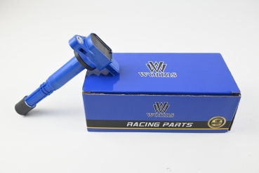 Uprated Coilpacks Honda Civic Accord K20 K24 RSX S2000 - Worms
