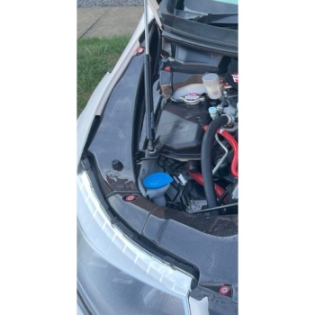Honda Civic FK2 Carbon Fender Cover