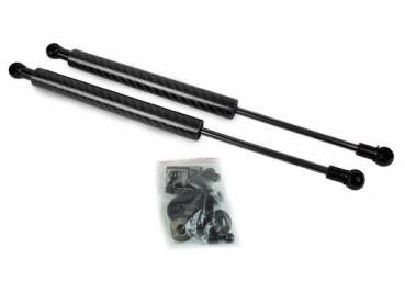 D1 Spec Hood Lift Honda S2000 99-09