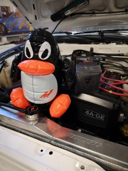 Chilly the Penguin Inflatable Toy