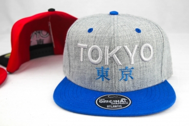 Tokyo 3D Snapback Cap