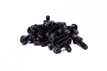 Wheel Bolt Steel M7 - 24mm