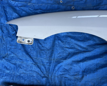 Preview: Honda DC2 DC1 Integra Type-R Kotflügel Front L + R JDM Spec