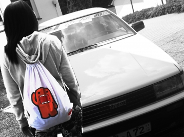 Carry Bag Domo-Kun