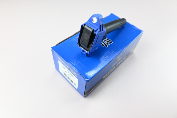 Uprated Coilpacks Suzuki Swift ZC33S  - Worms