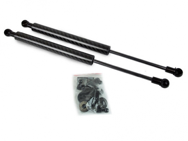 D1 Spec Hood Lift Honda Civic,Del Sol EG EH EJ 92-98