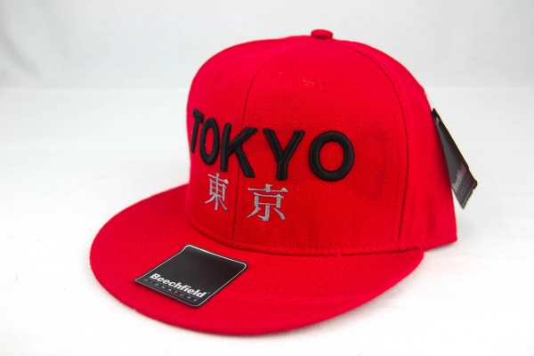 Tokyo 3D Snapback Cap