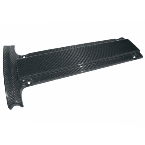 Mitsubishi Lancer Evo 10 Carbon Plug Cover - M2