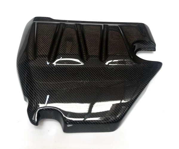 Mitsubishi Lancer Evo 10 Carbon Engine Cover - M2