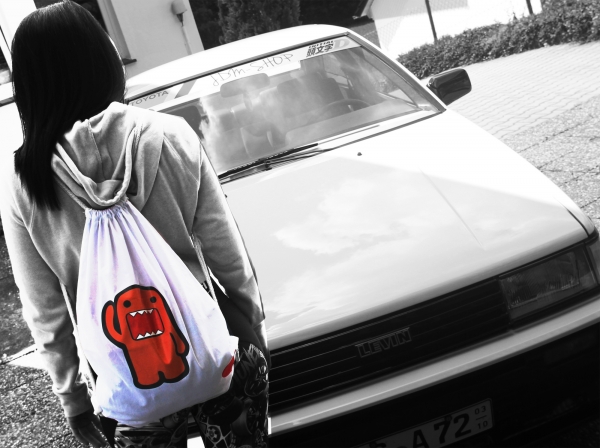 Carry Bag Domo-Kun